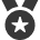 medal-icon