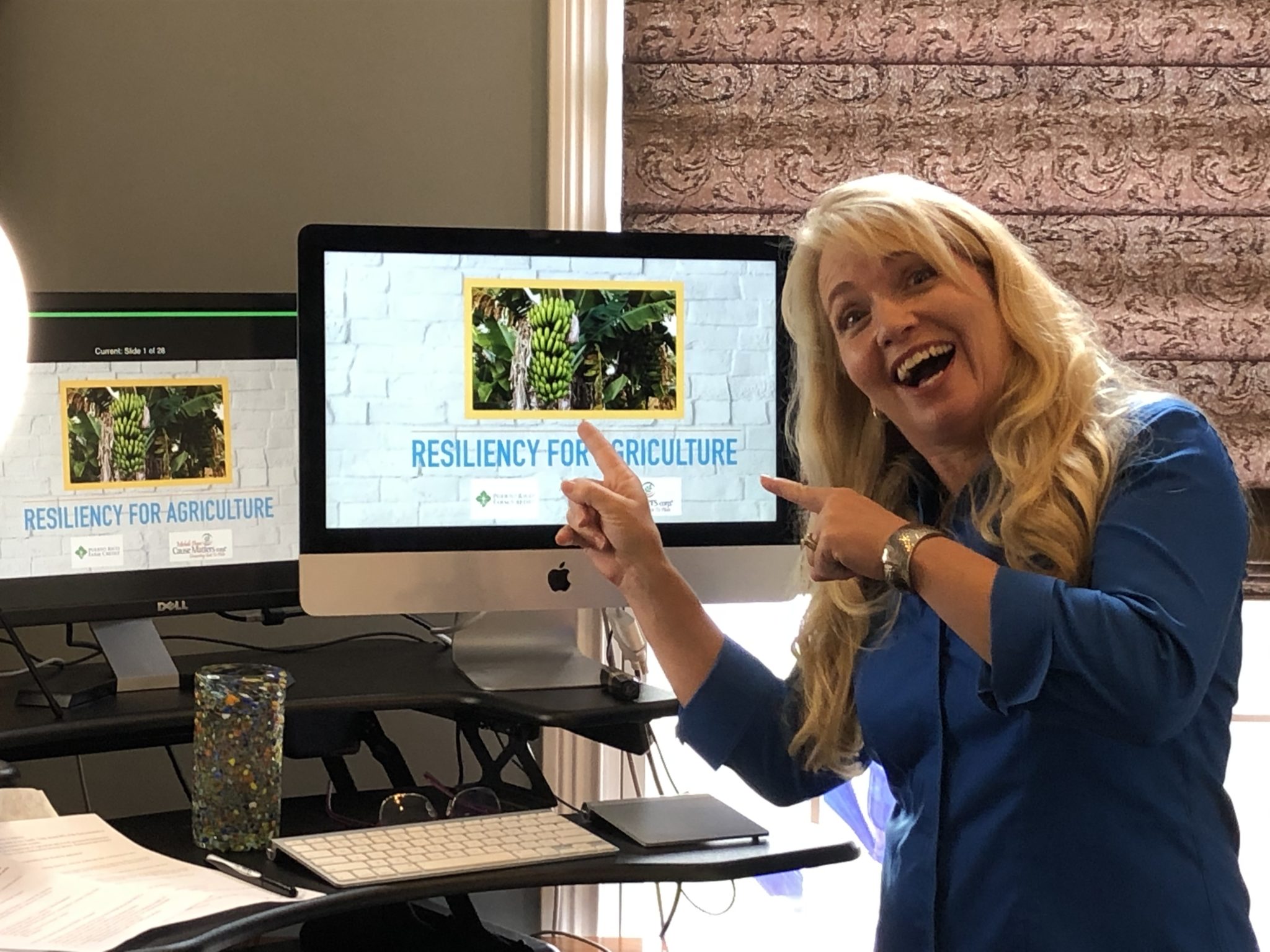 michele-virtual-training-presentation