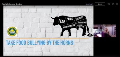 virtual-keynote-speaker-webinar-session