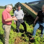 Producers of potatoes on farm