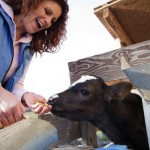 California dairy farmer makes cheese