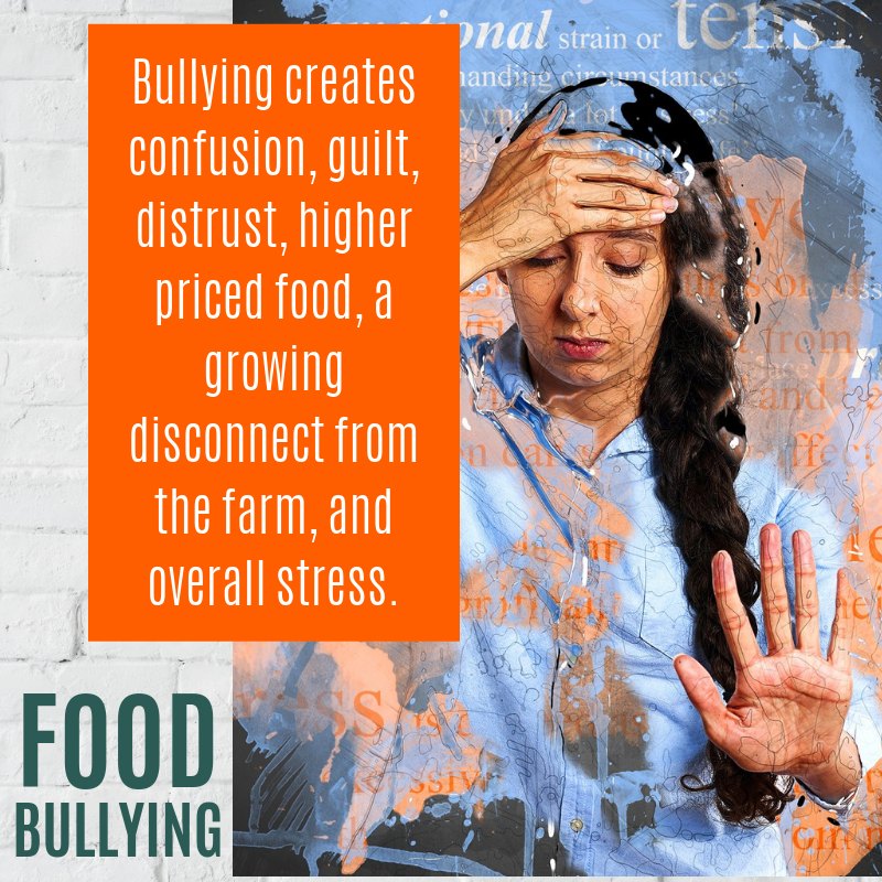 Food Bullying confusion