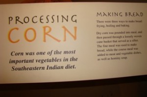 Corn in Native American Diet