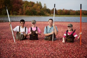 cranberry kids farm bog c