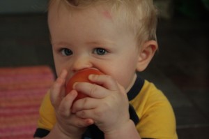 toddler enjoys tomatoes