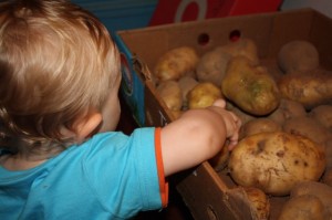 toddler potatoes