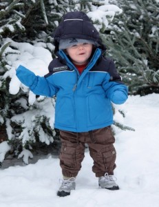 toddler with Christmas trees