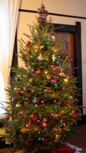 decorated real Christmas tree