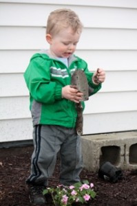toddler plants flowers