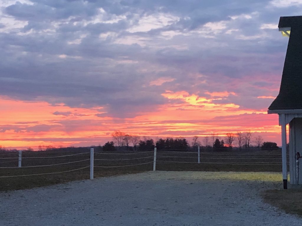 Coronavirus farm compassion