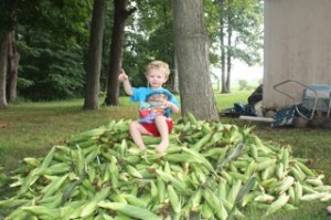 toddler sweet corn