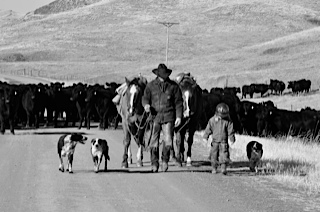 ranch rural lifestyle book