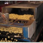 Technology used by potato farmers